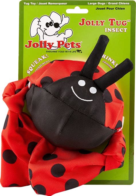 Jolly Pets Jolly Tug Insect Lady Bug Dog Toy, X-Large - Chewy.com