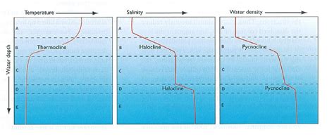 Hydrosphere - Mr. Smith's Earth & Environmental Science Class