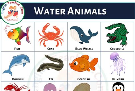 50 Water Animals Name In English With Pictures - EnglishTeachoo