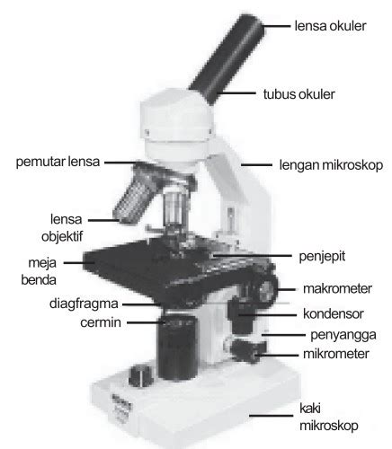 Cara menggunakan Mikroskop on RidwanTASK GO BLOG