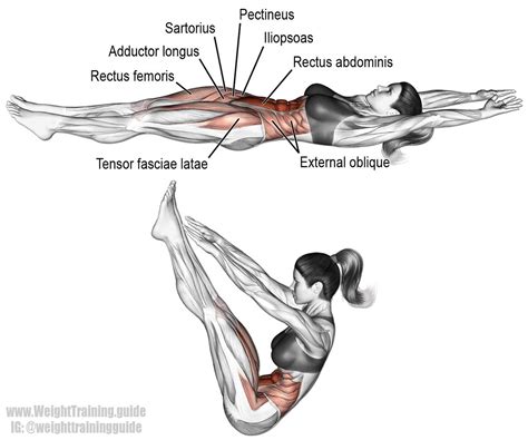 Russian Twist Muscles Worked - Kharita Blog