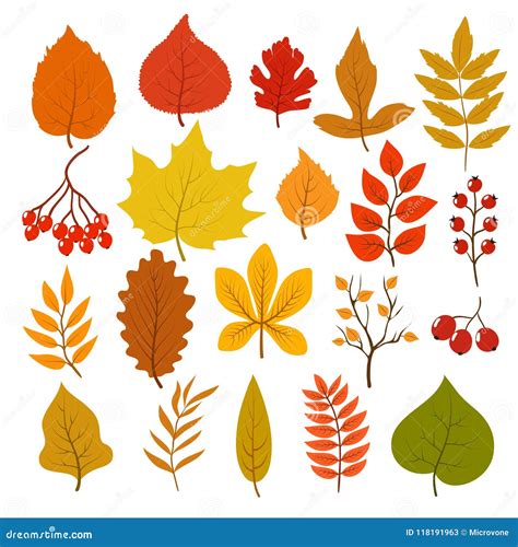 Fall Leaf Border Vector Illustration | CartoonDealer.com #33973690