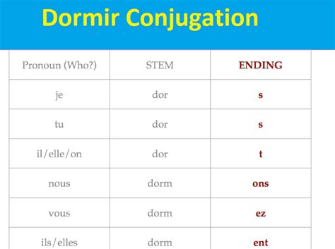 What Is Dormir Conjugation?