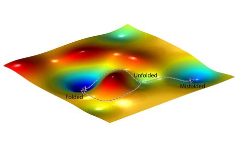 Protein folding on free-energy [IMAGE] | EurekAlert! Science News Releases