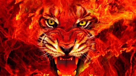 Flame Tiger Wallpapers - Top Free Flame Tiger Backgrounds - WallpaperAccess