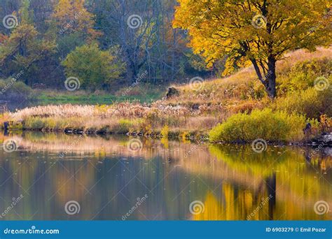 Peaceful Lake Coastline in Autumn Stock Image - Image of environment ...