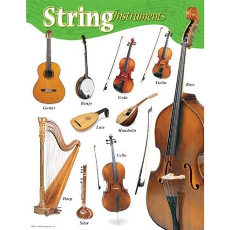 String Instruments Educational Poster. Again, these are common members ...