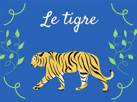 Le tigre on Behance