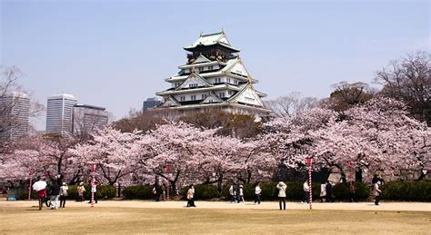 Embassy of Taiwan in Osaka, Japan - Embassy n Visa