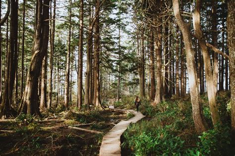 30+ Incredibly Beautiful Hikes In Washington State Worth The Sweat | The Mandagies