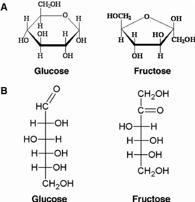 Fructose Molecule Diagram