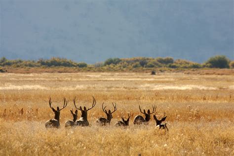 Malheur National Wildlife Refuge – Planeta.com