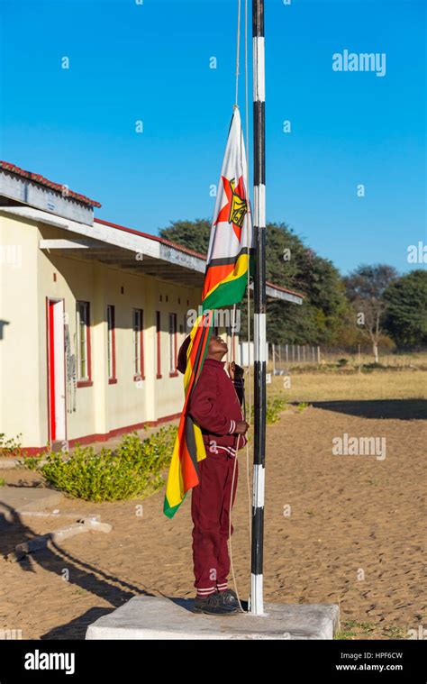 A school child raises the Zimbabwean flag at a rural school in Matabeleland Stock Photo - Alamy