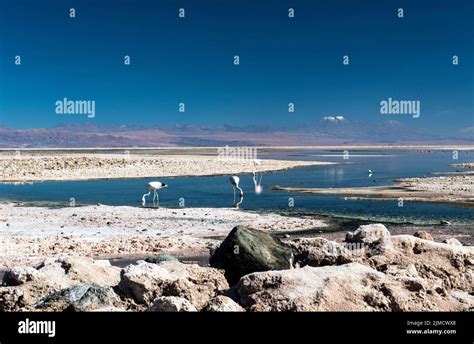 Salar de Atacama, Atacama salt lake Stock Photo - Alamy