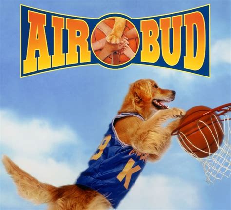 The Story of “Air Bud” and Buddy the Basketball-Playing Golden ...