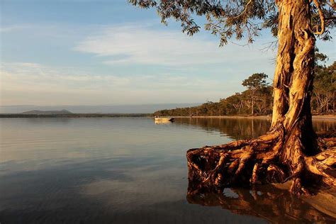 boreen point sunshine coast