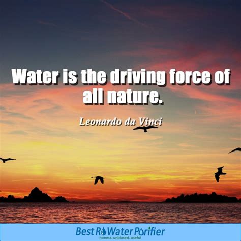 Save Water Quotes & Slogans - Best Quotes about Importance of Water | Water quotes, Save water ...