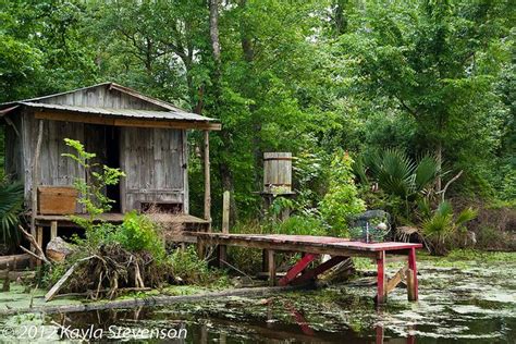 Explore the Majestic Louisiana Swamp Cabins