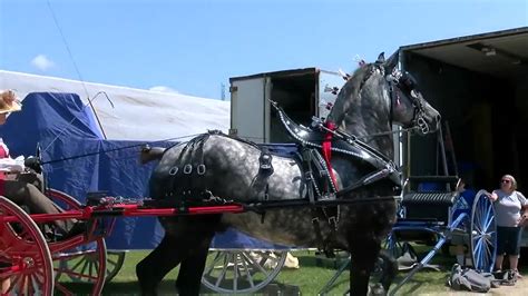 Genesee County Fair returns