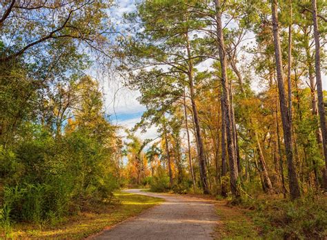 Home | Bainbridge, Georgia Convention and Visitors Bureau