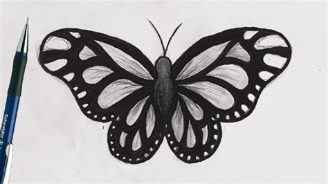 Comment Dessiner Un PAPILLON AU CRAYON Réaliste [Noir et Blanc] - YouTube