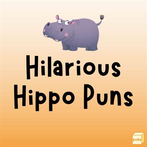 50+ Hilarious Hippo Puns for Huge Laughs - Box of Puns