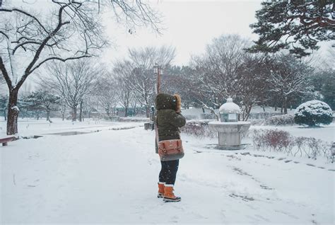 A Guide to Winter in Korea: Survival Tips – There She Goes Again