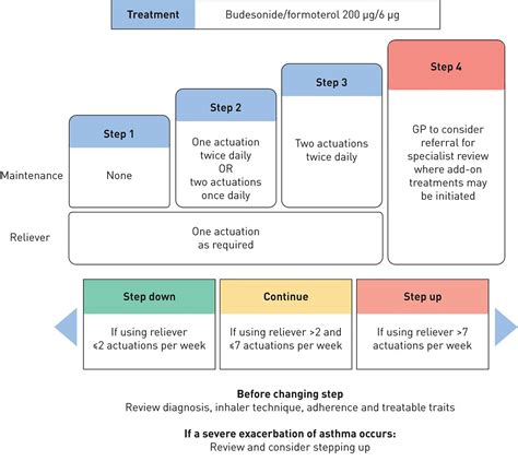 Anti‐inflammatory reliever therapy in asthma: The evidence mounts but ...