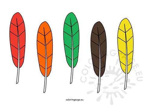 Color Turkey Feathers – Coloring Page