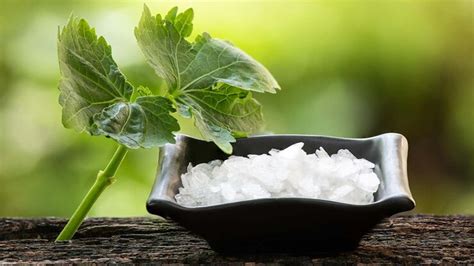 What are the Health Benefits of Camphor? – NutritionFact.in