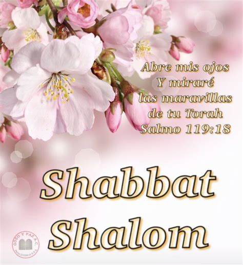 Pin van Prili Sazo op Shabbat Shalom