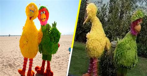 El misterio se ha resuelto: Esta es la relación entre Big Bird y Abelardo de Plaza Sésamo