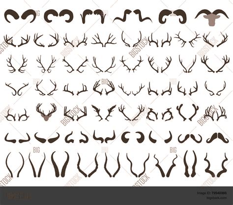 Horns Vector & Photo (Free Trial) | Bigstock