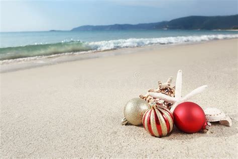 Christmas at the beach stock photo. Image of seasonal - 20840588