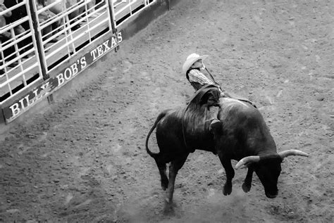 Fort Worth Foto Fest: Bull Riding at Billy Bobs Texas | BIlly Bob's Texas, Fort Worth, TX | May ...