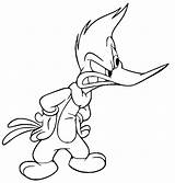 60 Woody Woodpecker Coloring Pages  ColoringPagesOnlycom sketch template
