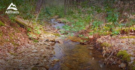 Best trails in Elk Creek, Virginia | AllTrails