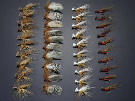 40Pcs Caddis Fly Patterns Dry Flies Trout Fly Fishing Lures-in Fishing ...