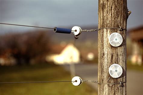 HOW TO MAINTAIN AN ELECTRIC FENCE Keep your animals contained and safe ...