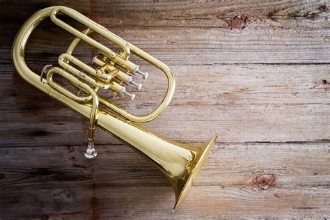 12 Different Types of Tubas (Plus Interesting Facts)