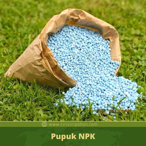 Mengenal Komposisi Pupuk NPK untuk Tanaman Sawit - Ciriciripohon.com