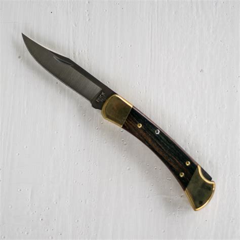 Buck Knives 110 Folding Hunter - Odgers and McClelland Exchange Stores