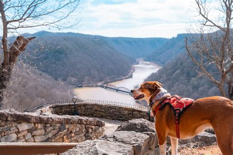 Cliffside Trail in Hawks Nest State Park [Trail Guide]