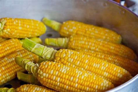 Eight Amazing Facts About Corn