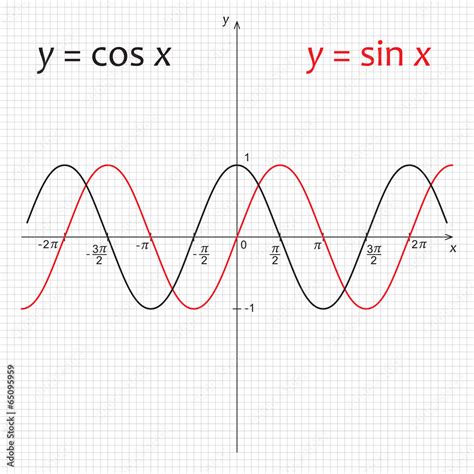 Diagram of function y=sin x and y=cos x Stock Vector | Adobe Stock