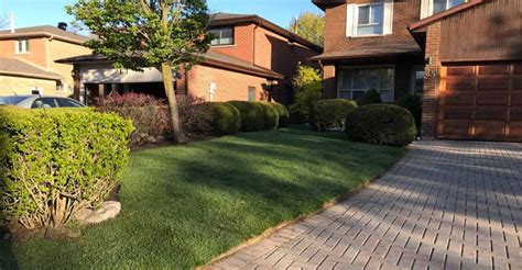 Sod Installation & Lawn Replacement (Recommended) - Sodding Canada