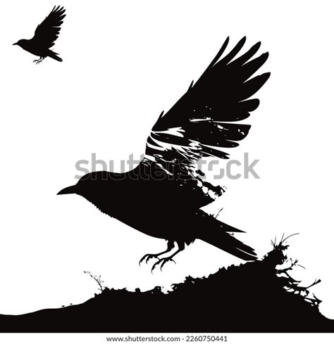 Bird Vector Silhouette Black White Stock Vector (Royalty Free ...