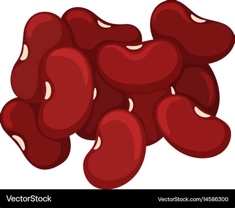 Pile of red beans Royalty Free Vector Image - VectorStock