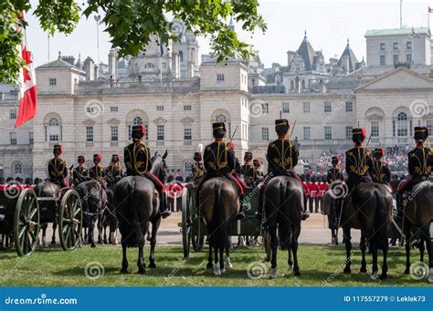 Household Cavalry Taking Part in the Trooping the Colour Ceremony ...