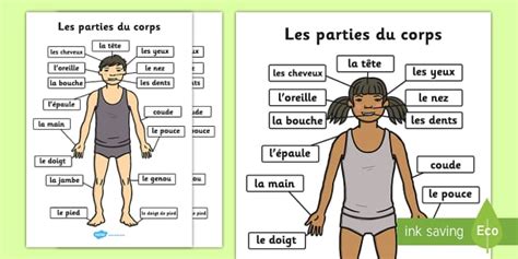 Parties Du Corps A4 French (teacher made) - Twinkl